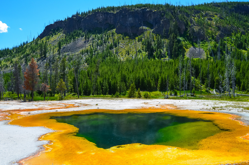 Hot spring, rainbow-hued edges, centered pool with forest backdrop, midday light, editorial travel photo, no people.