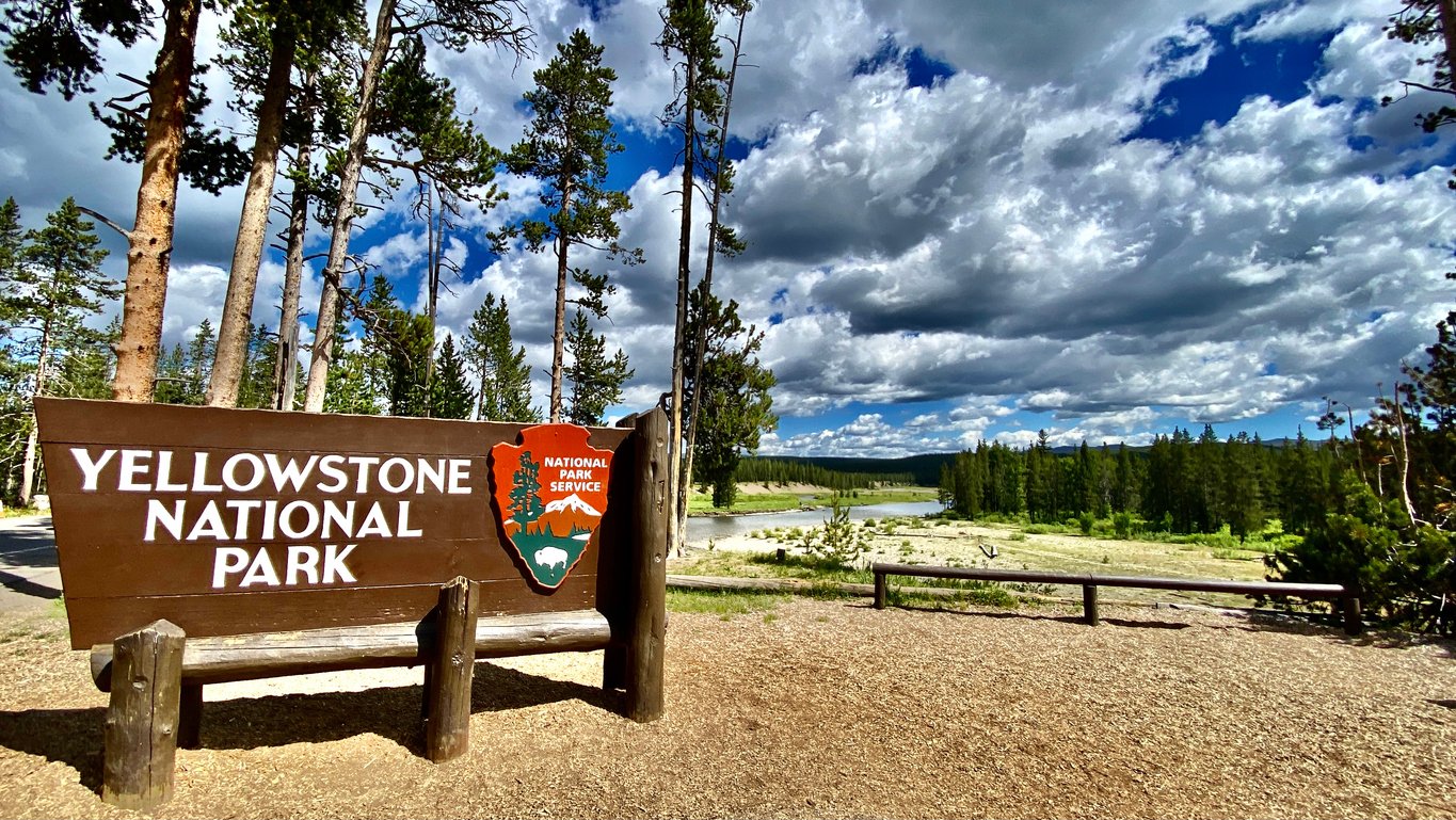 Yellowstone National Park, wooden entrance sign with park emblem, framed by tall trees, daytime light, editorial travel photo, no people.
