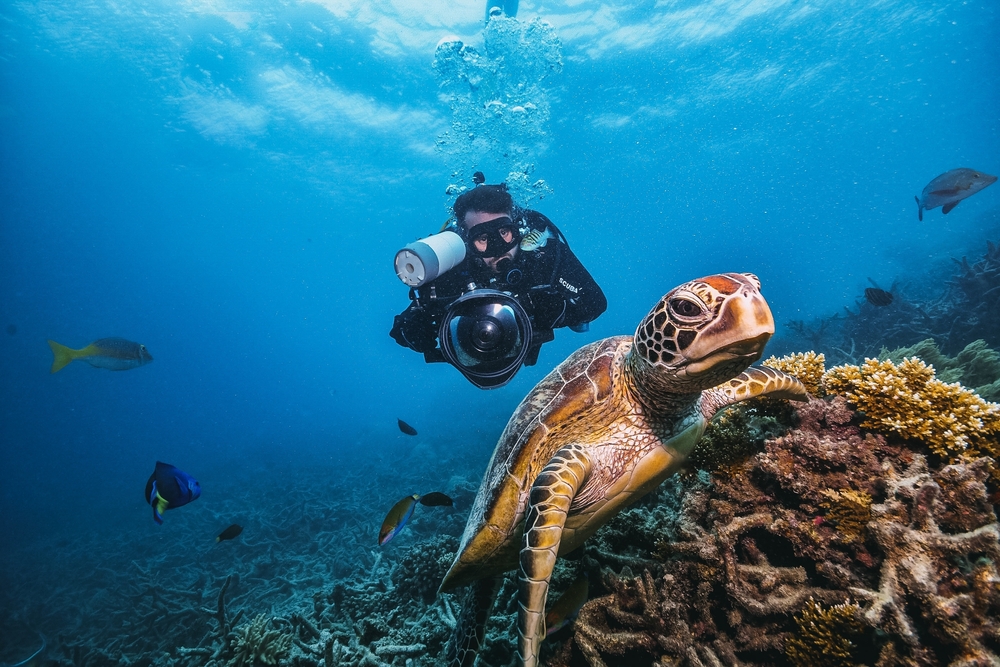 Scuba diver photographing a sea turtle swimming near coral reef, with fish in the background.