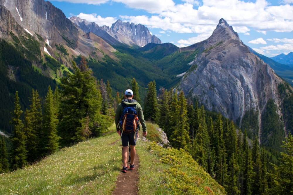 Mountain trail, lone hiker, framed by trees, daylight with clouds, editorial travel photo, one person present.