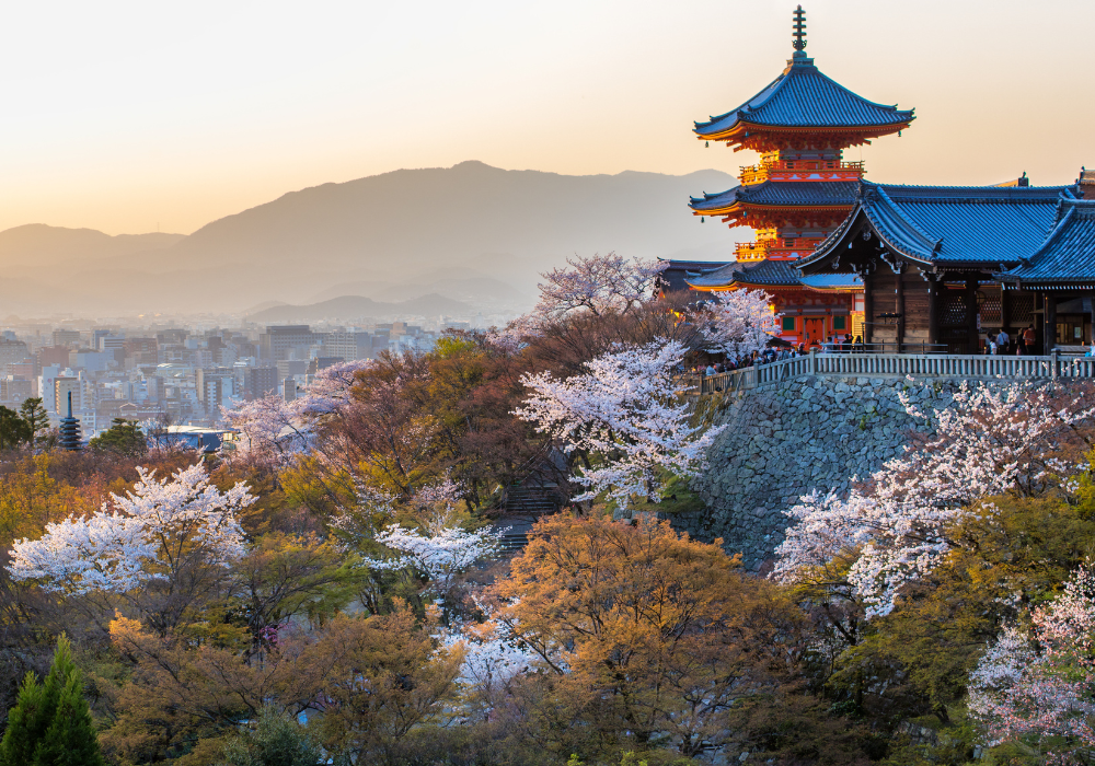 Kyoto temple, cherry blossoms foreground, panoramic vista, warm sunset glow, editorial travel photo, no people.