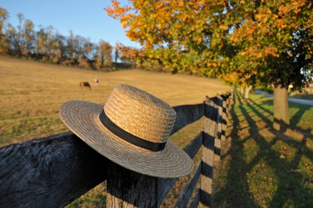 Countryside fence, straw hat with black band, wide view with horses and autumn trees, golden hour light, editorial travel photo, no people.