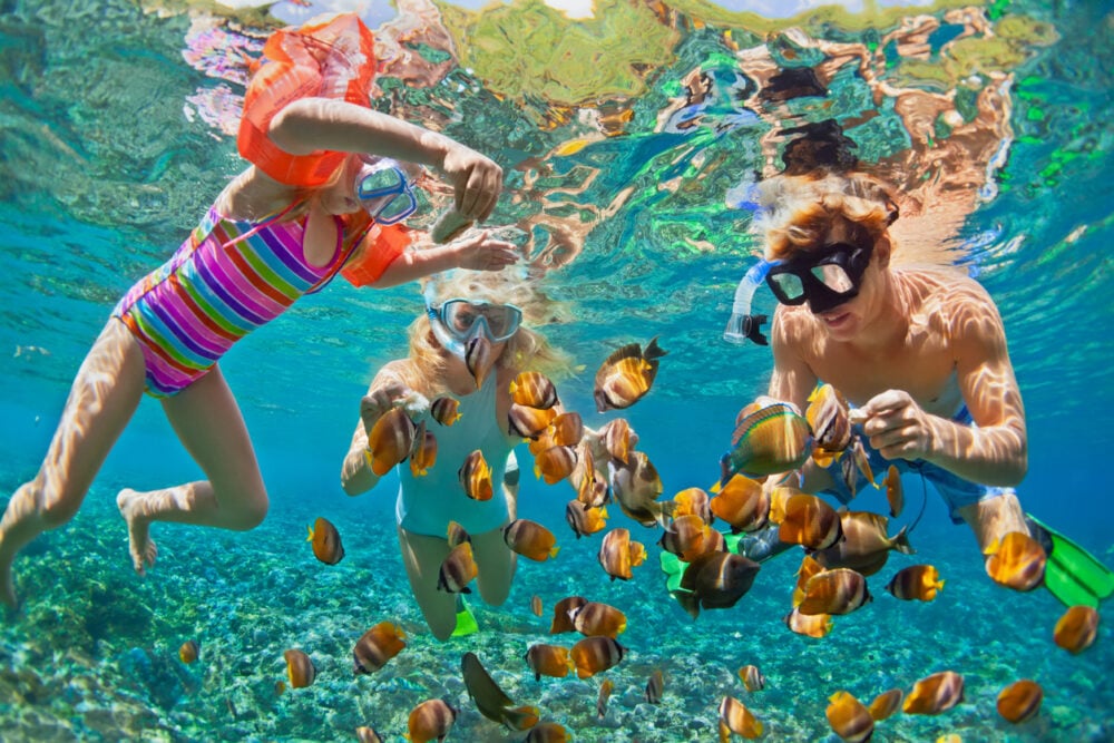 Three people snorkeling underwater with colorful tropical fish swimming around.