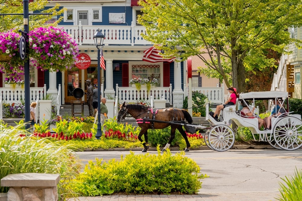 Horse-drawn carriage with tourists passing by a colorful flower bed and a porch with American flags.