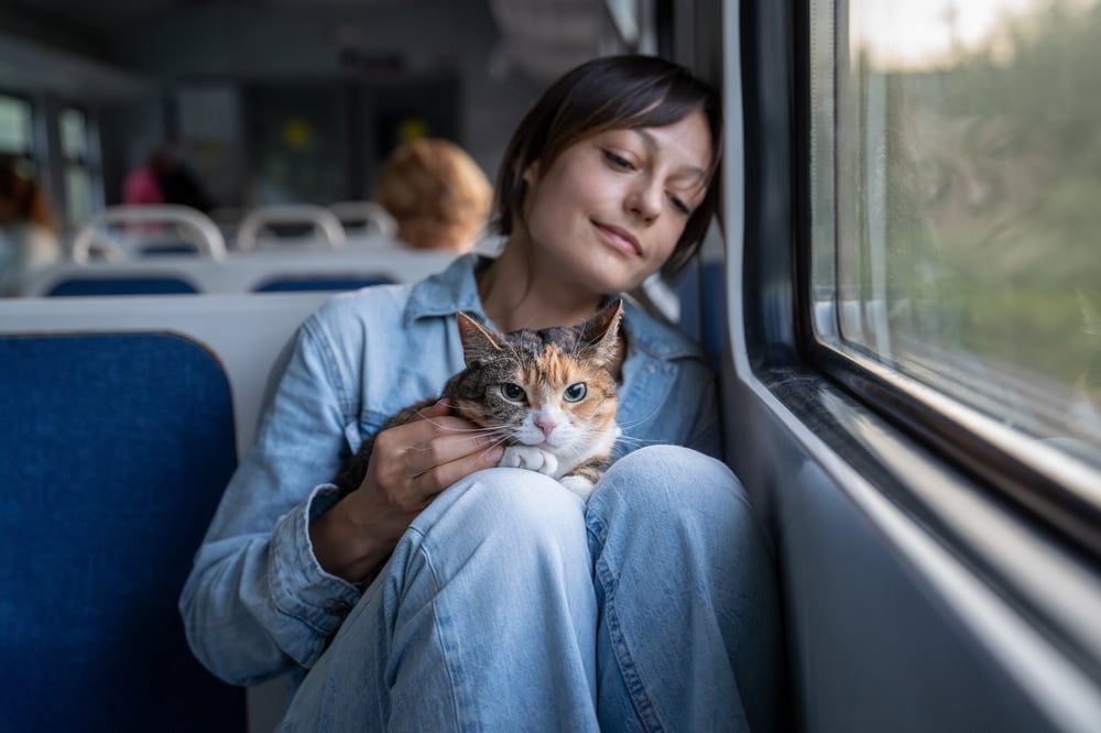 A woman on a train holds a calico cat, sitting by the window.