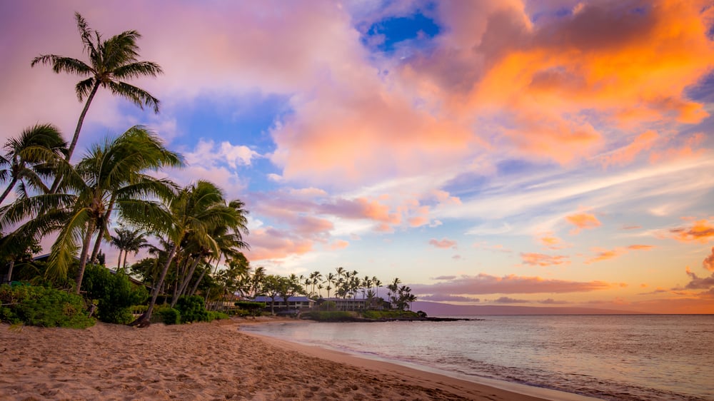 Sandy beach with palm trees at sunset, colorful sky with orange and pink clouds.