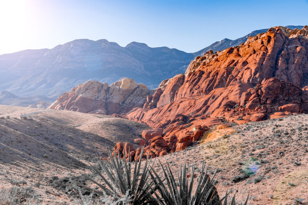 Red rock formations in a desert landscape with mountains in the background and clear blue sky.