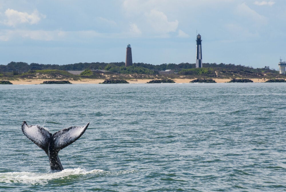 Whale tail above water with lighthouses and sandy shore in background under partly cloudy sky.