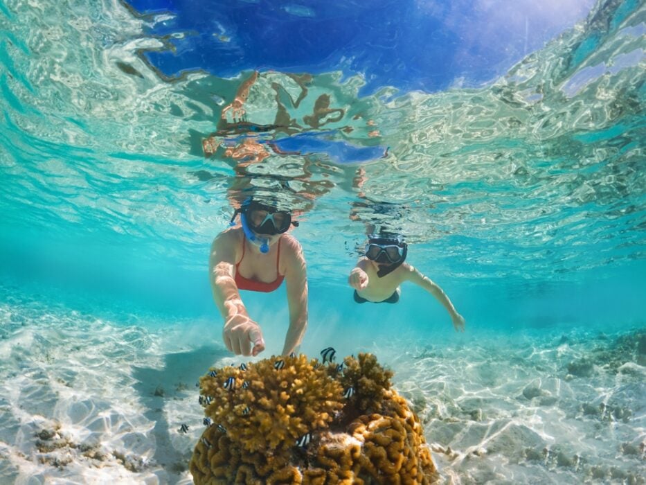 Two people snorkeling over coral in clear blue water.