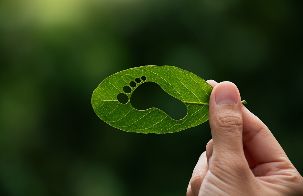 Hand holding a green leaf with a cut-out footprint shape against a blurred background.
