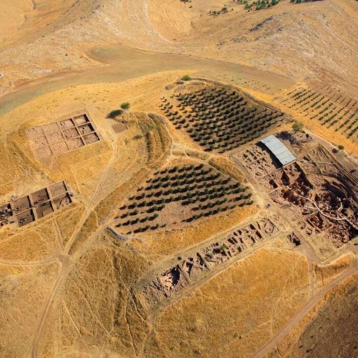 Aerial view of archaeological excavation sites and an olive grove on a dry, hilly landscape.