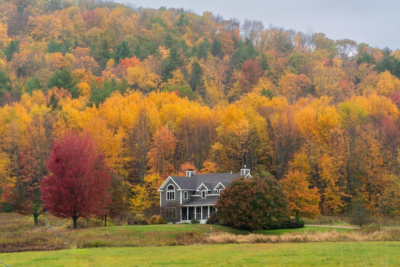 Vermont: Number One for Healthcare - Period (Image Credits: Pixabay)