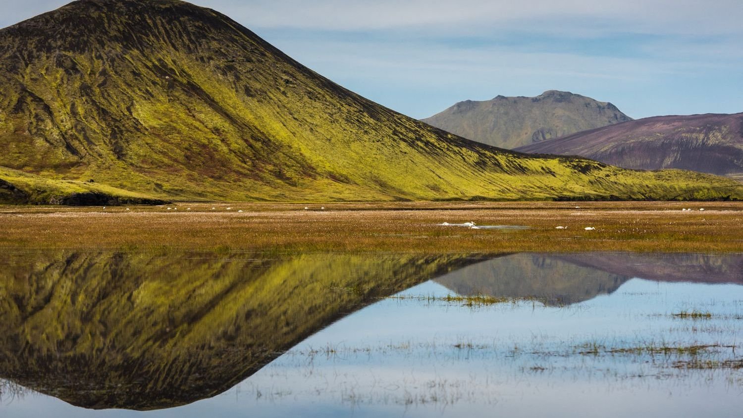 Good News: 7 Places Where Tourist Violence Is Reducing