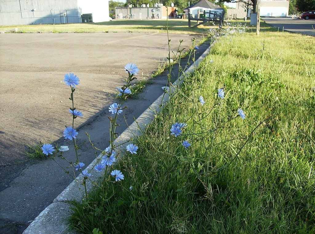 7. Flint, Michigan: A Cautionary Tale Still Unfolding (Image Credits: Flickr)