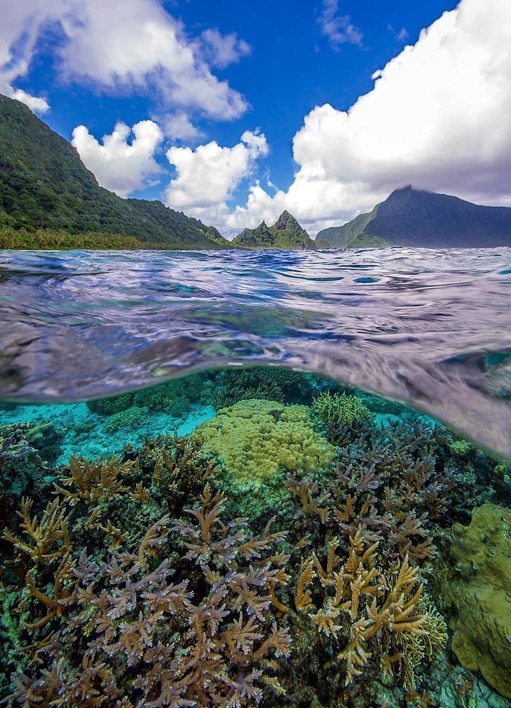 5. National Park of American Samoa (Image Credits: Flickr)
