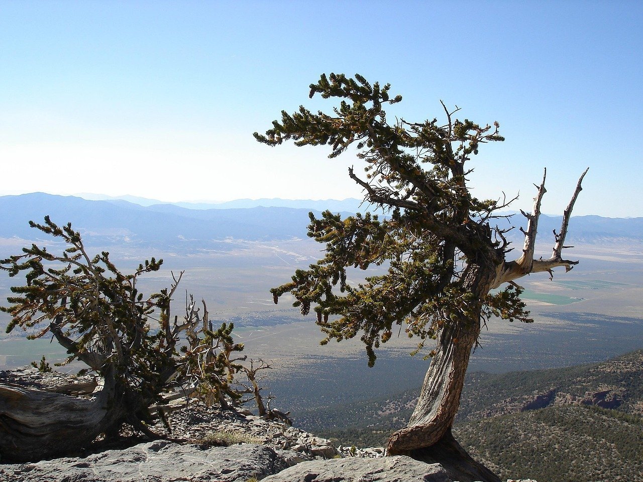 10. Great Basin National Park (Image Credits: Pixabay)