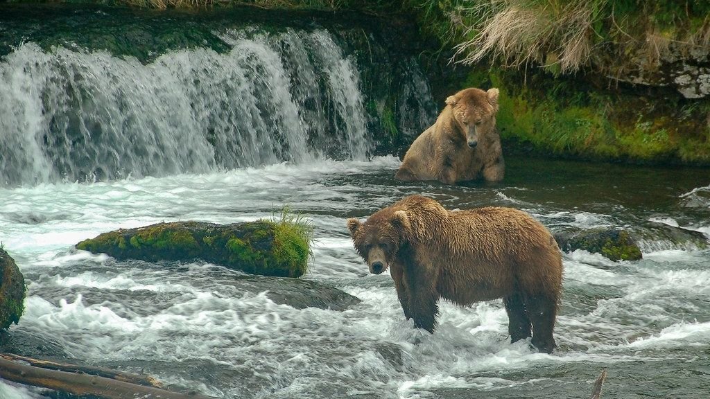 Americans Are Skipping These 10 National Parks - Here's Why
