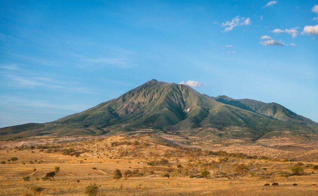 Tanzania (Image Credits: Rawpixel)