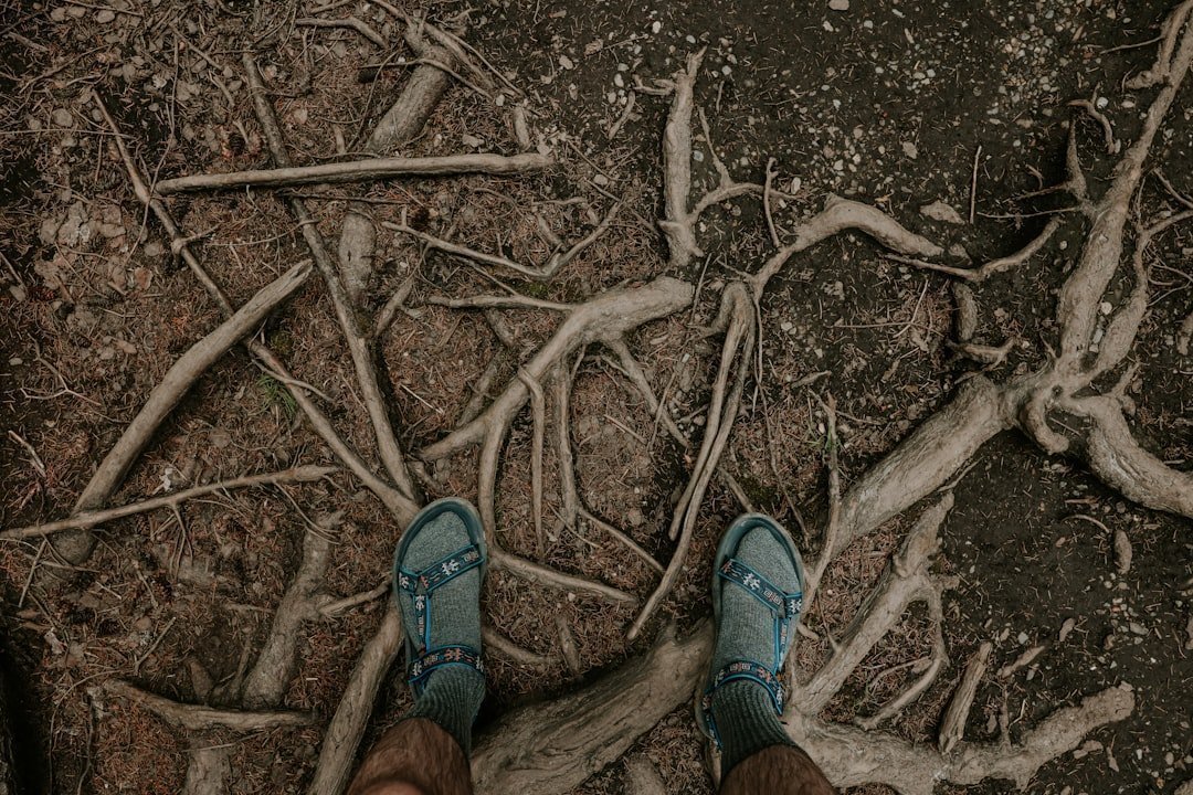 Chapter 6: Stiff Legs and Lost Rhythm (Image Credits: Unsplash)