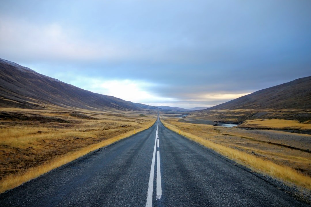 Why These Roads Captivate (Image Credits: Unsplash)