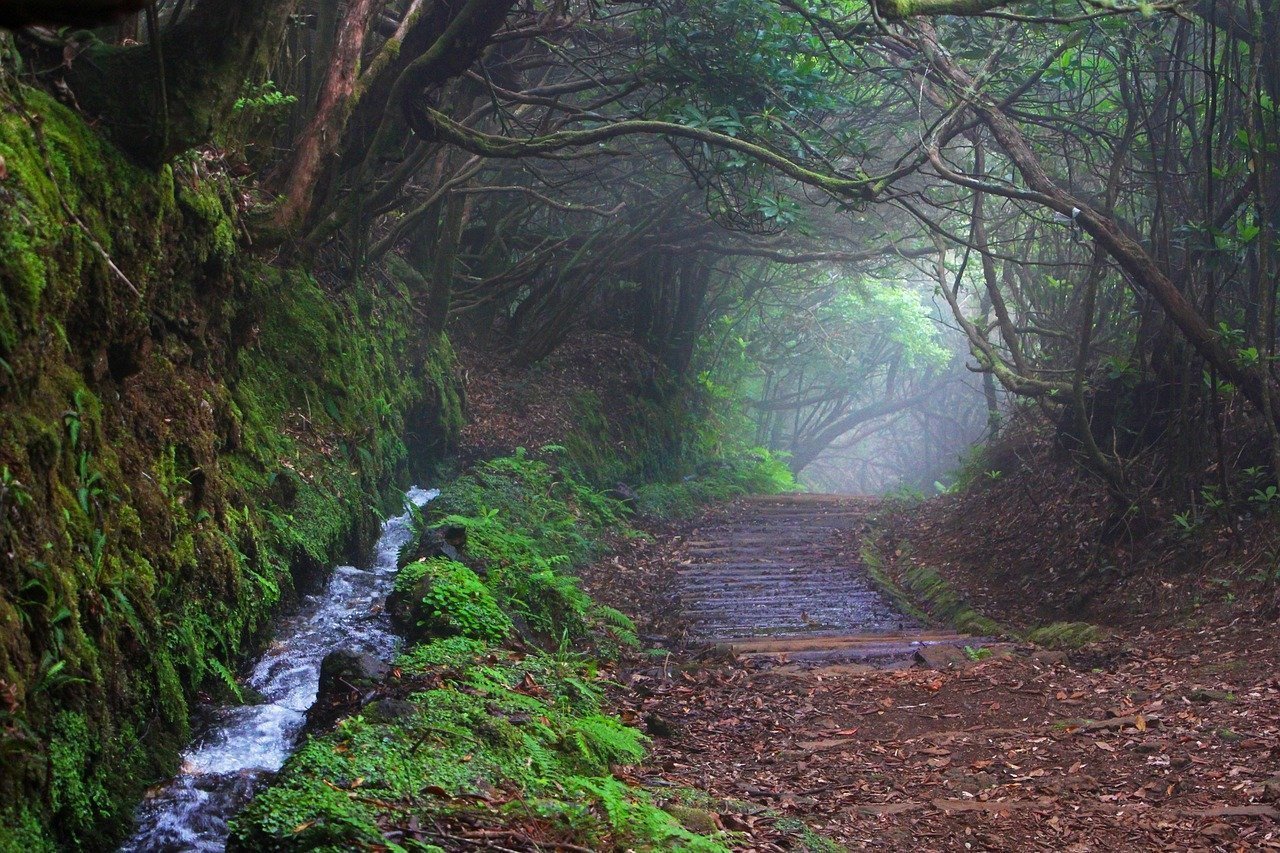 Madeira, Portugal (Image Credits: Pixabay)