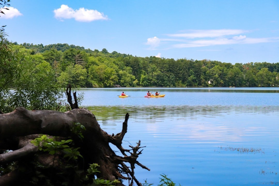 11. Voyageurs National Park (Image Credits: Unsplash)