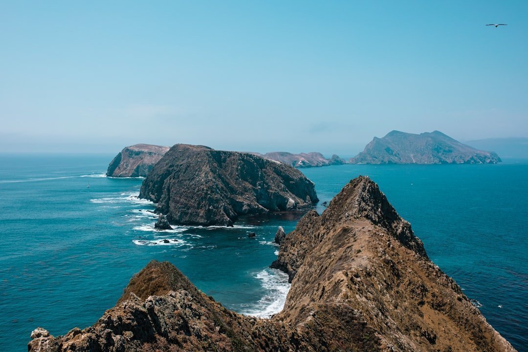 14. Channel Islands National Park (Image Credits: Unsplash)