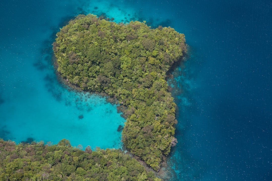 Palau (Image Credits: Unsplash)