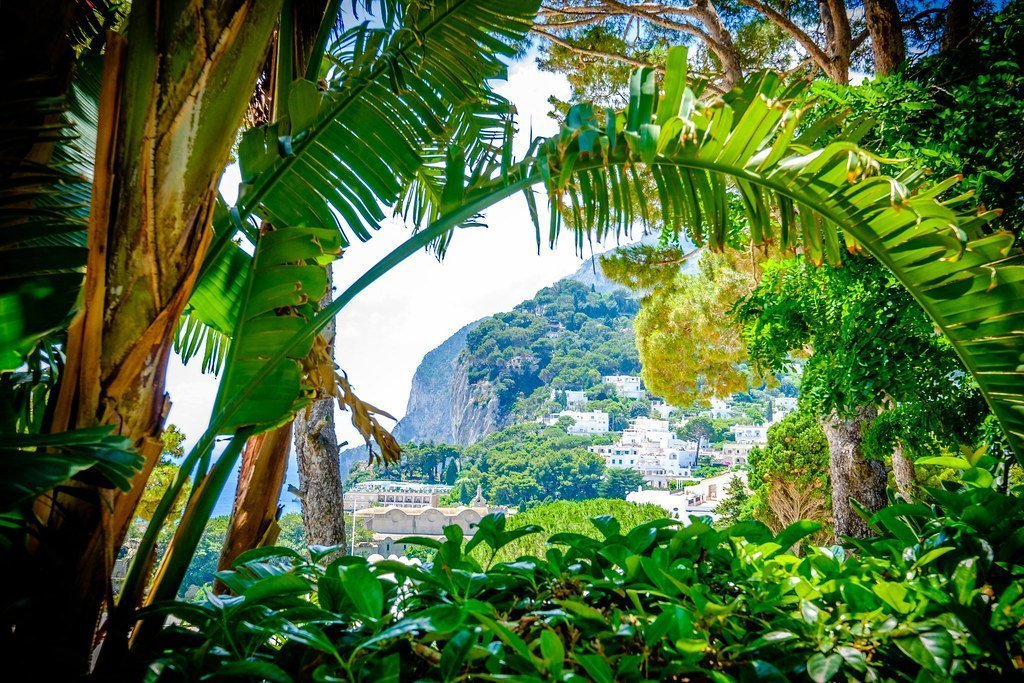 Conclusion (Image Credits: Flickr)