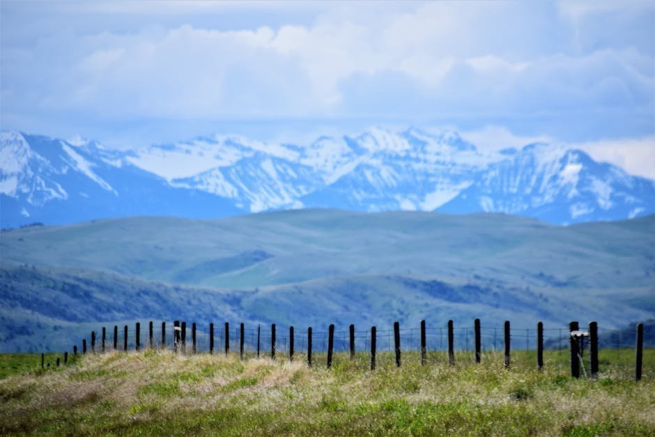 1. Plains, Montana (Image Credits: Pexels)