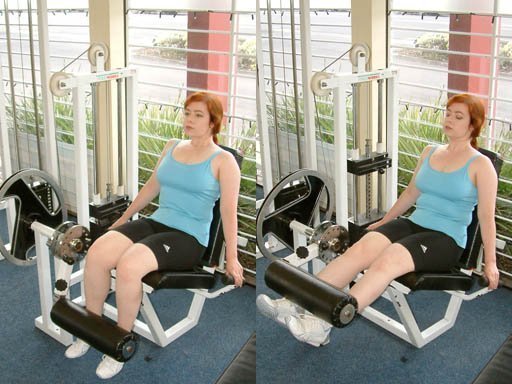 5. Seated Leg Extensions (Image Credits: No machine-readable source provided. Own work assumed (based on copyright claims)., CC BY-SA 3.0)