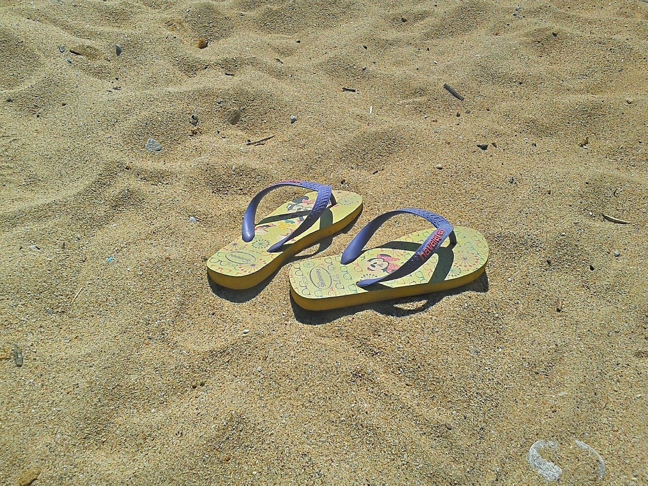 2. Flip-Flops (Image Credits: Pixabay)