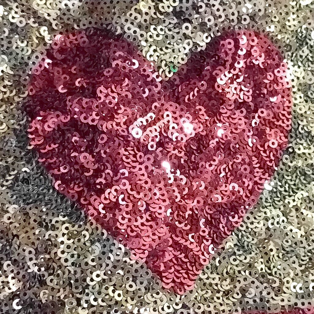 3. Sparkly Sequined Clothing (Ruth and Dave, Flickr, CC BY 2.0)