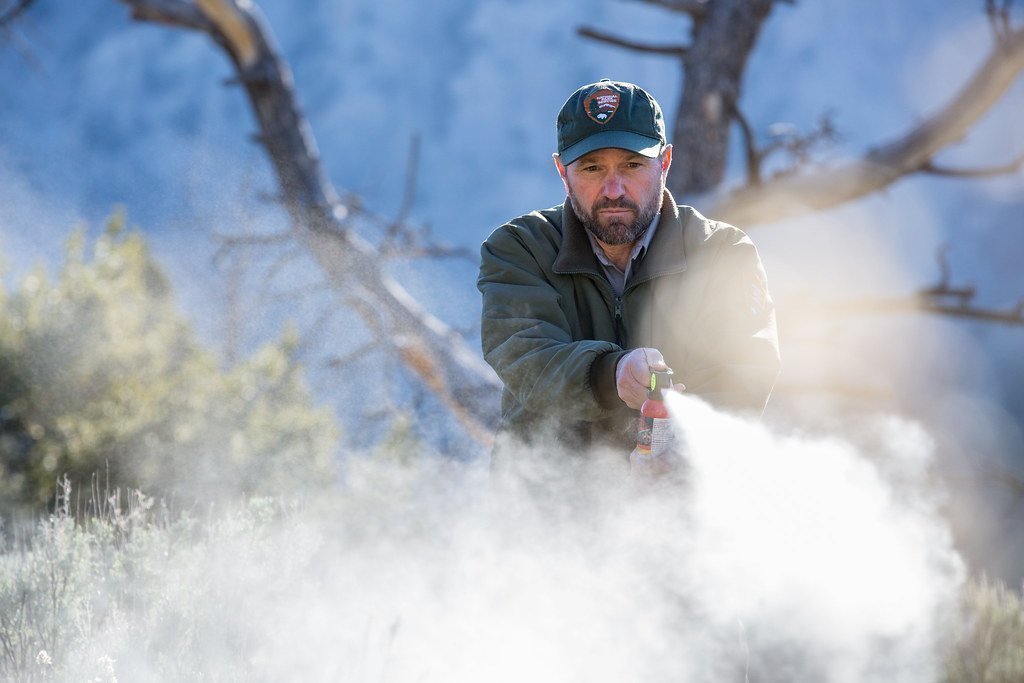 10. Bear Spray (Image Credits: Flickr)