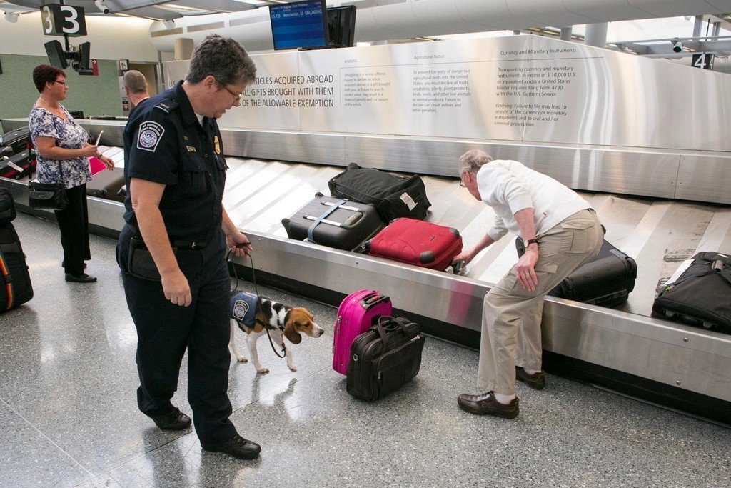 8. Your Declared Purpose vs. Your Baggage (Image Credits: Rawpixel)