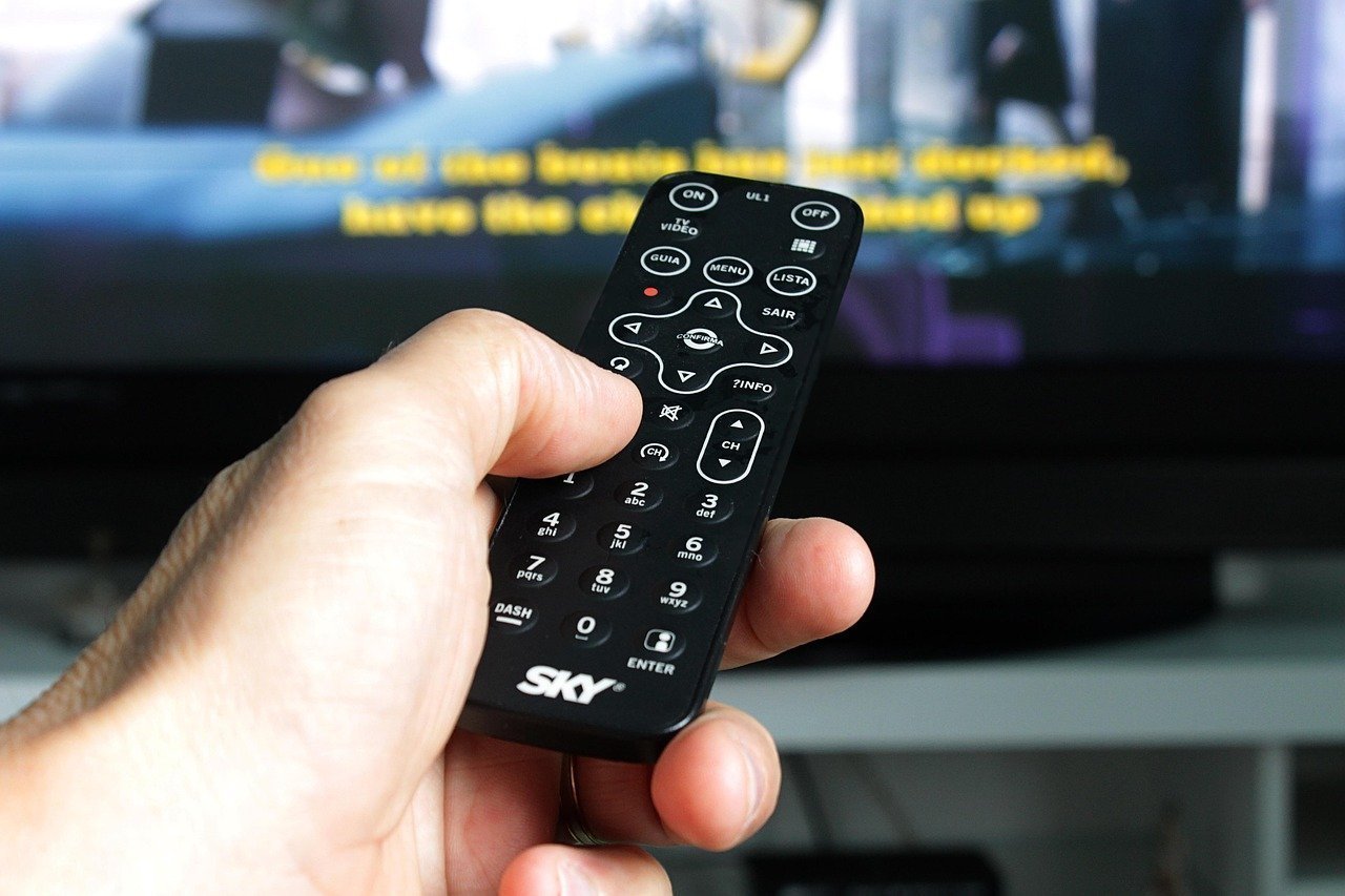 1. The TV Remote Control (Image Credits: Pixabay)