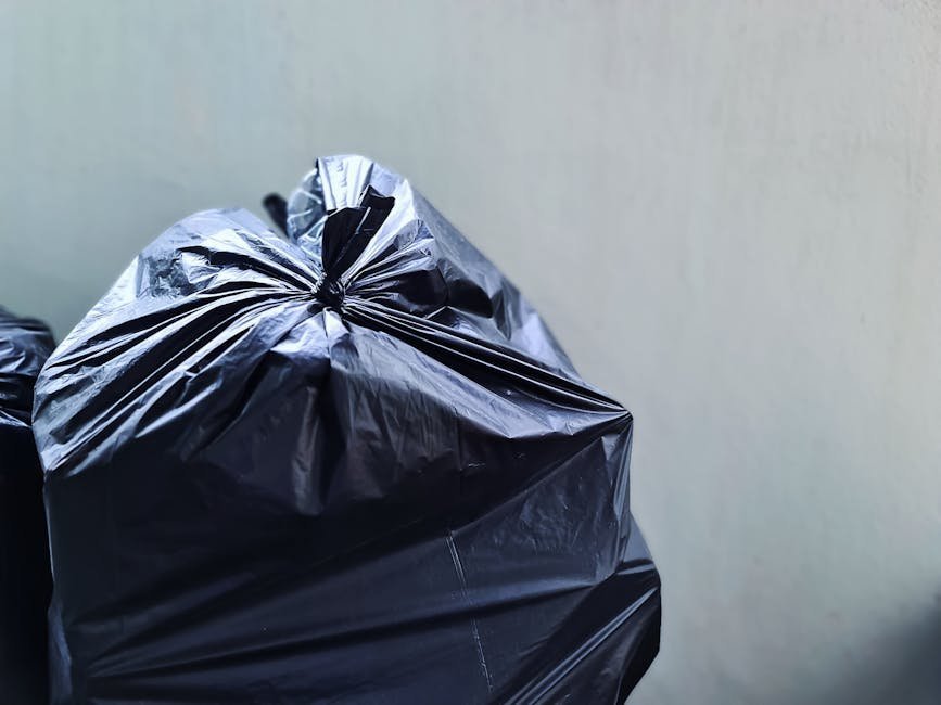 Taking Out All the Trash: Reasonable or Over the Top? (Image Credits: Pexels)