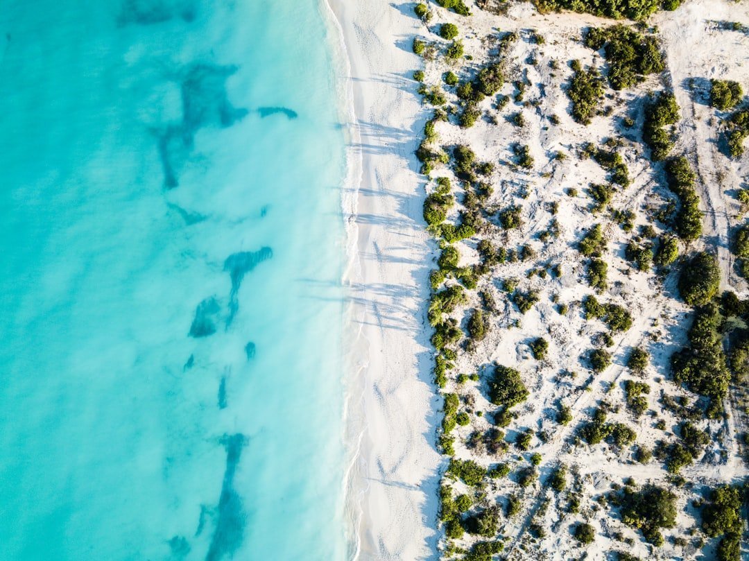 4. Turks and Caicos: Official US Dollar Territory (Image Credits: Unsplash)