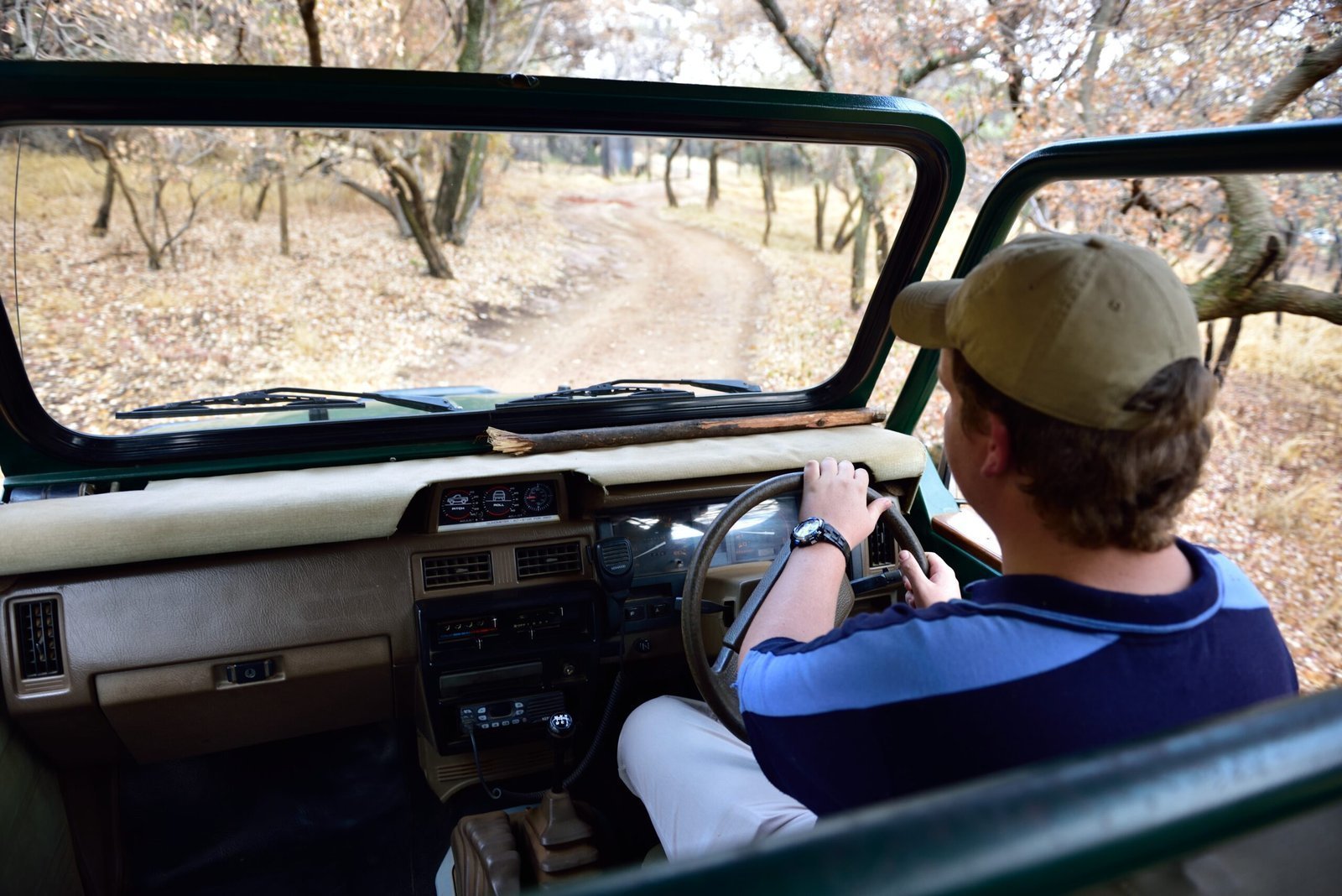 Safari, Wine Country, and Coastline: The Lifestyle No Other Hub Offers (De Wildt Cheetah and Wildlife Centre, Hartbeespoort, North West, South Africa, CC BY 2.0)