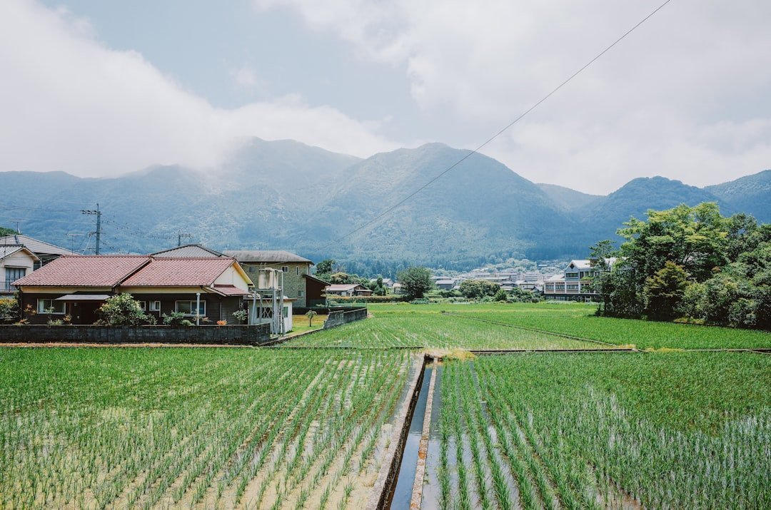 2. Japan - Rural Relocation Grants Worth Up to ¥3 Million (Image Credits: Unsplash)