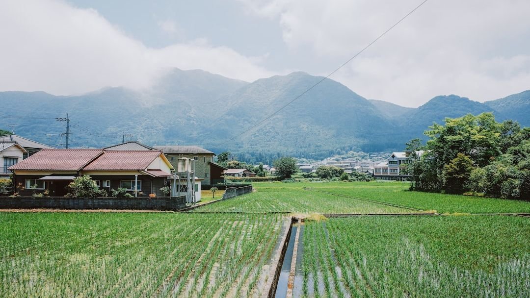 8 Countries That Will Pay You to Move There - And the Catch You Need to Know