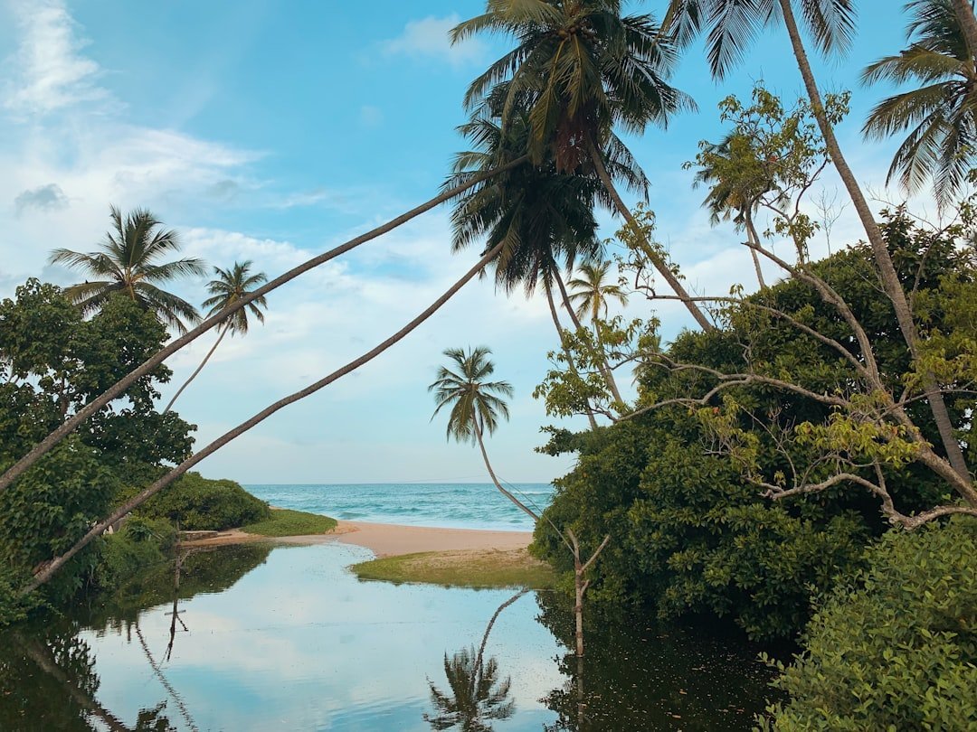 1. Sri Lanka's Brand New 2026 Remote Work Visa Is a Game-Changer (Image Credits: Unsplash)