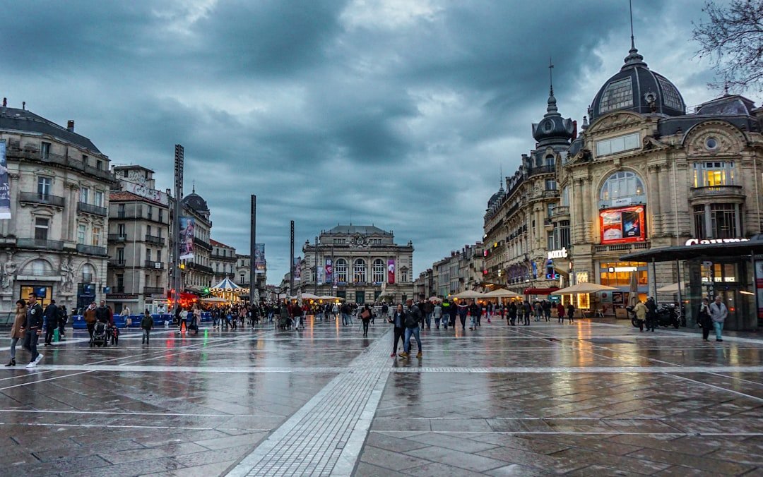 5. Montpellier, France - The Most Affordable Study Destination in Western Europe (Image Credits: Unsplash)