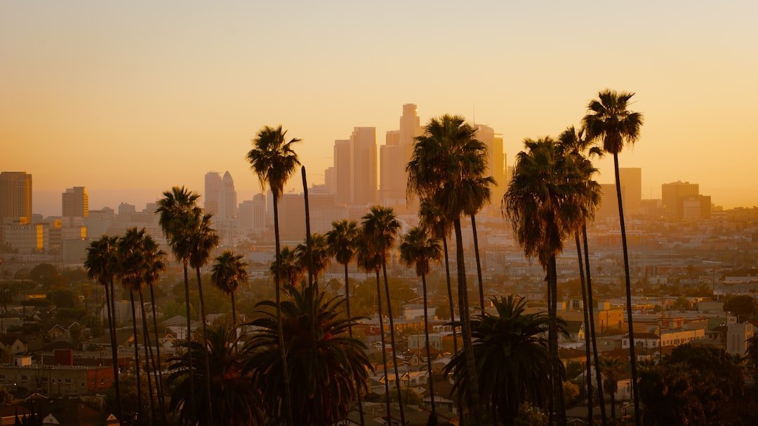 4. Los Angeles, California - The Dream City That People Are Waking Up From (Image Credits: Unsplash)