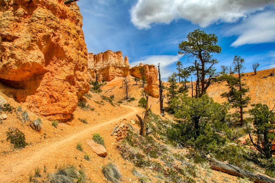 2. Hike Red Rock Canyon Before Breakfast (Image Credits: Pexels)