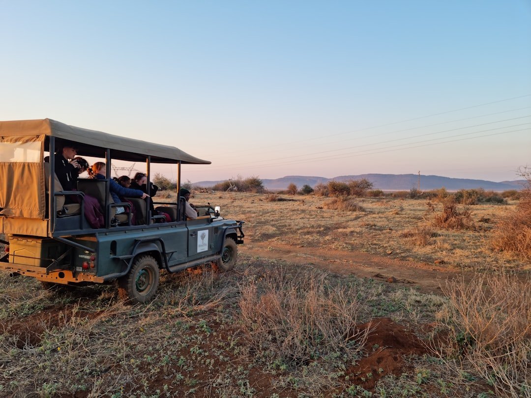 South Africa: Safari Dreams Made Affordable (Image Credits: Unsplash)