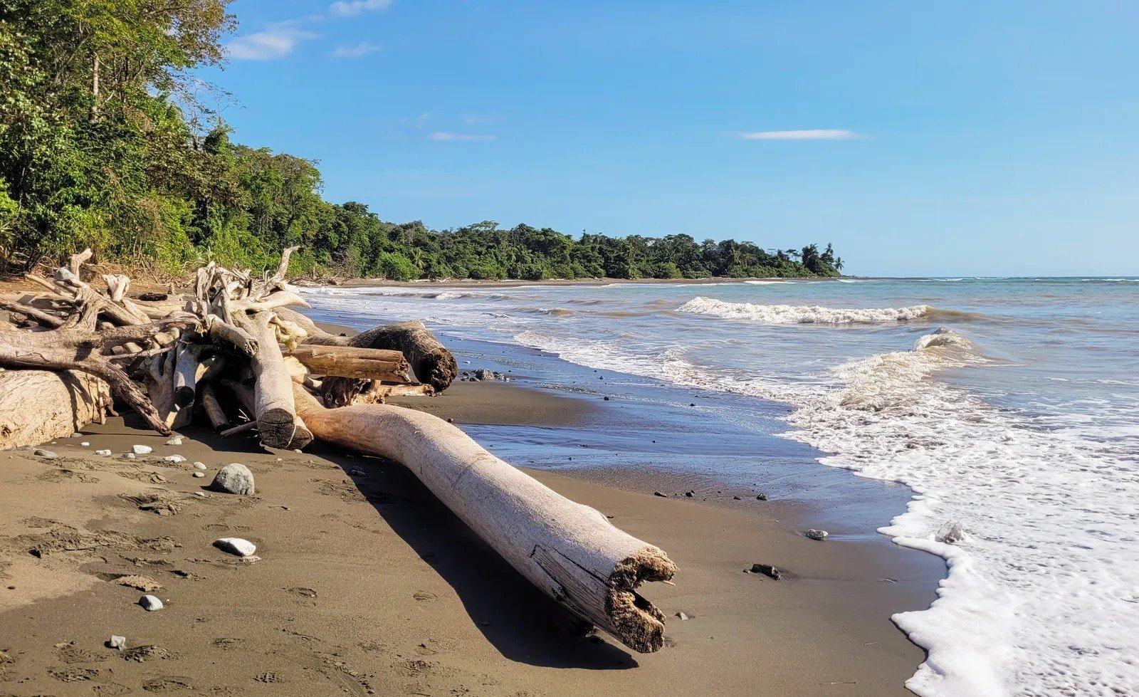 Costa Rica: The Pioneer That Set the Standard (By Bernard Gagnon, CC0)