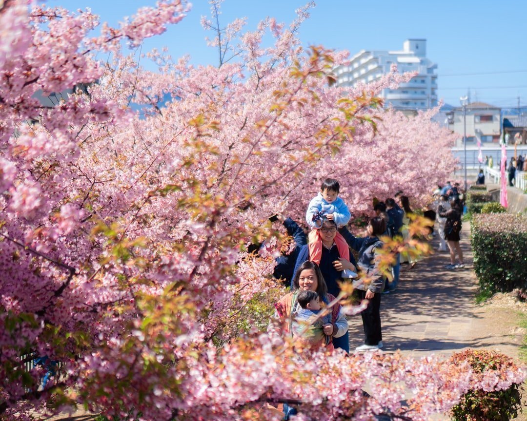 The Rise of Shoulder Season Travel as a Structural Trend (Image Credits: Unsplash)